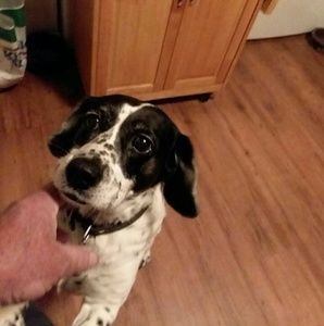 Meet your Posher, Gene